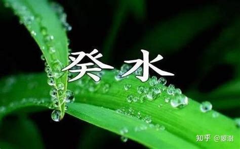 癸水命|癸水